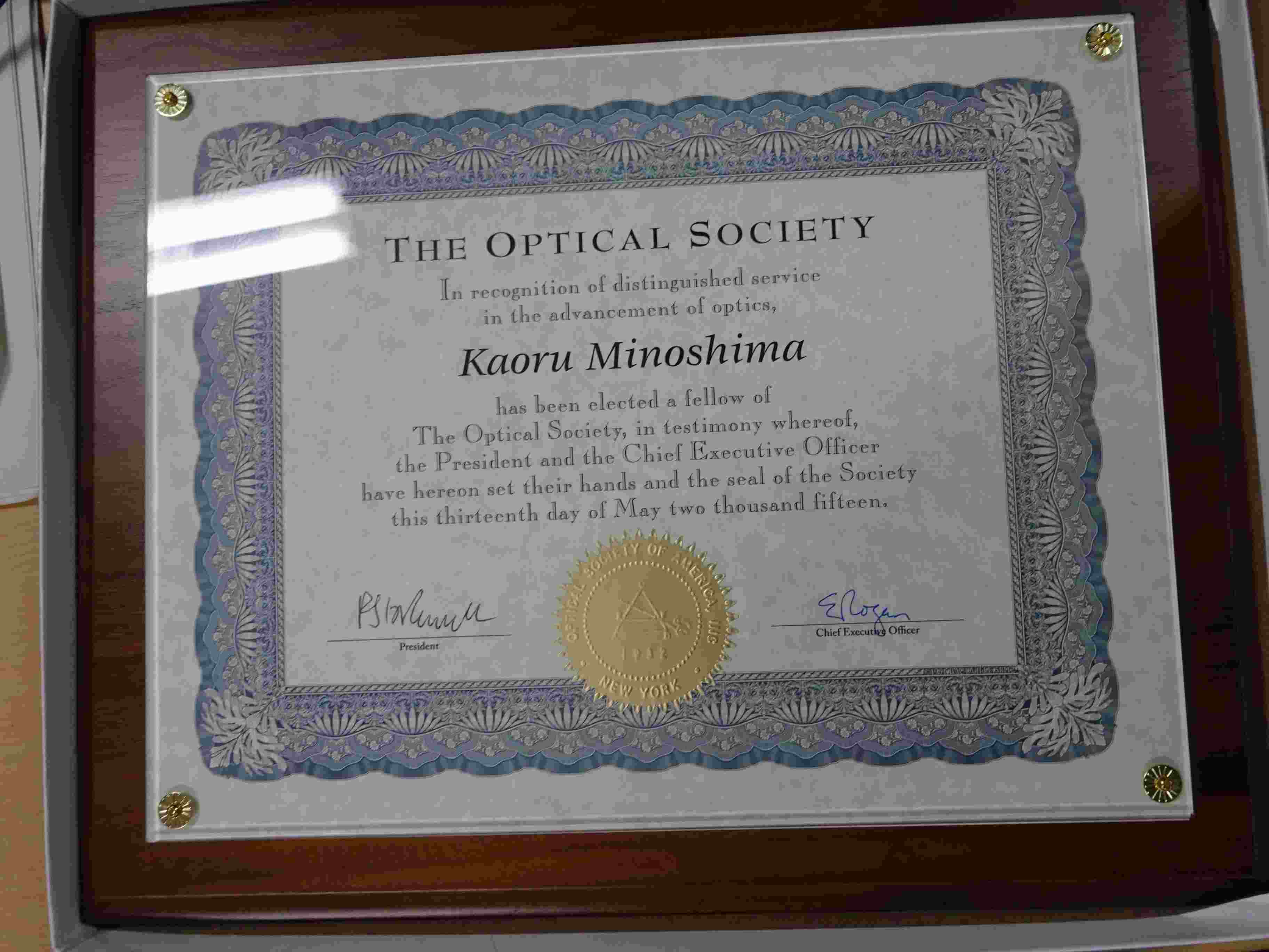 OSA Fellow