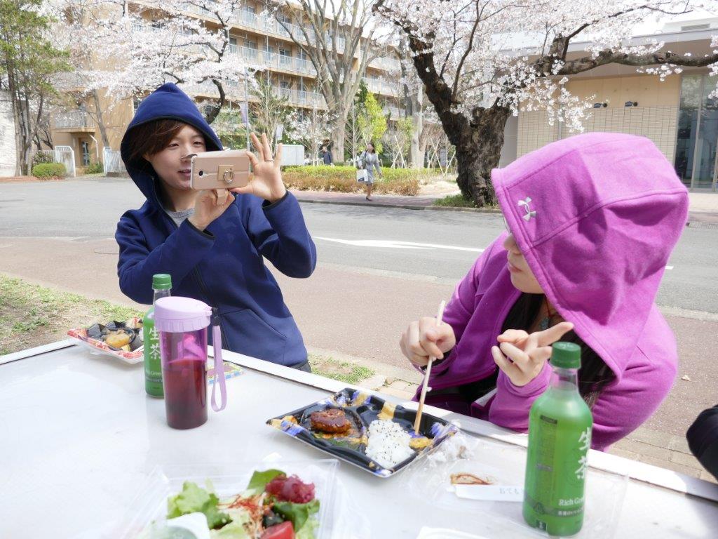 2017年お花見