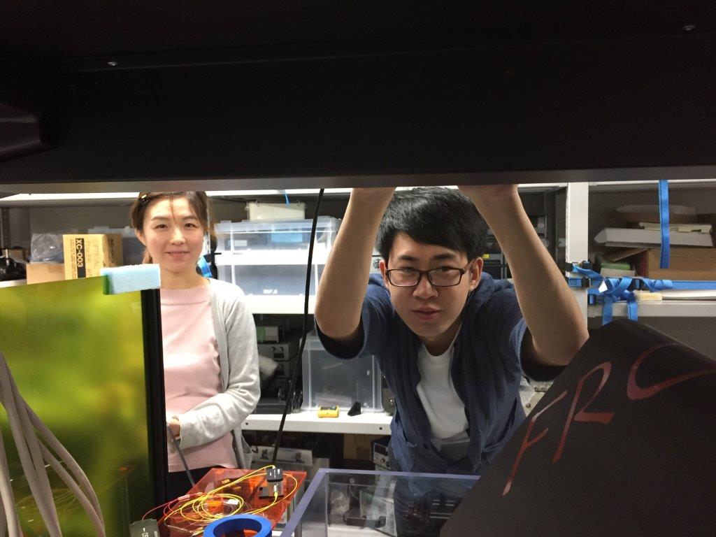 Stay of Mr. Ma