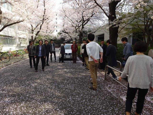 2018年お花見