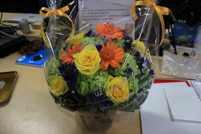 CLEO Flower